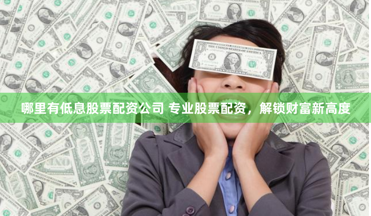 哪里有低息股票配资公司 专业股票配资，解锁财富新高度
