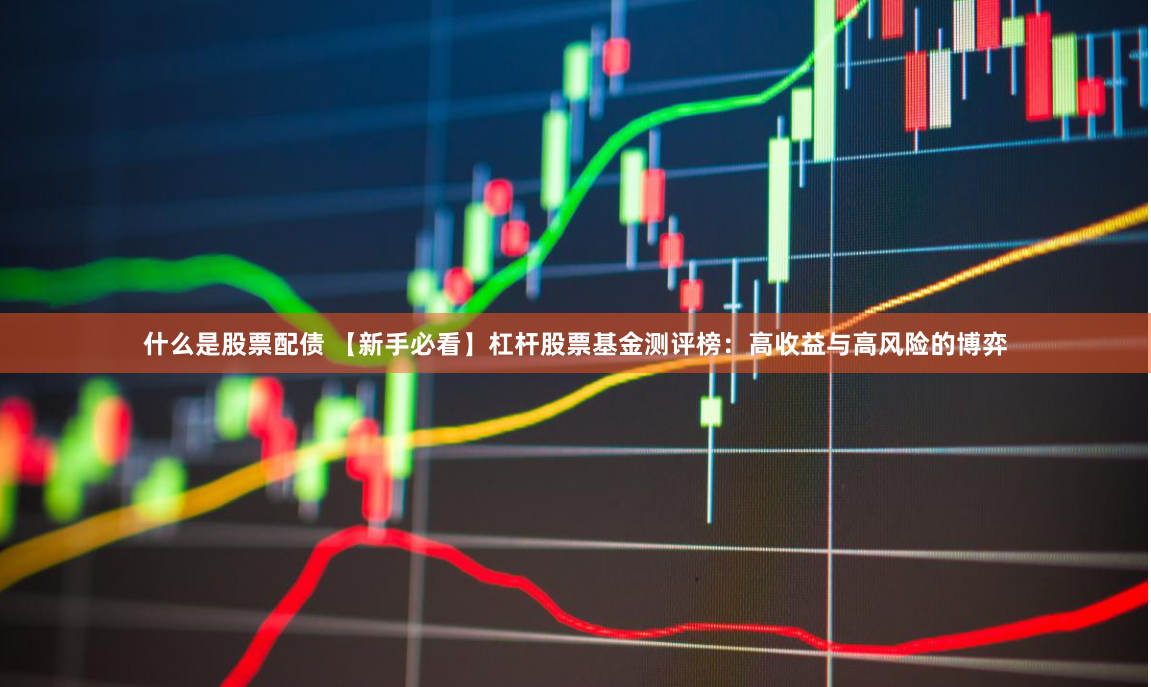 什么是股票配债 【新手必看】杠杆股票基金测评榜：高收益与高风险的博弈