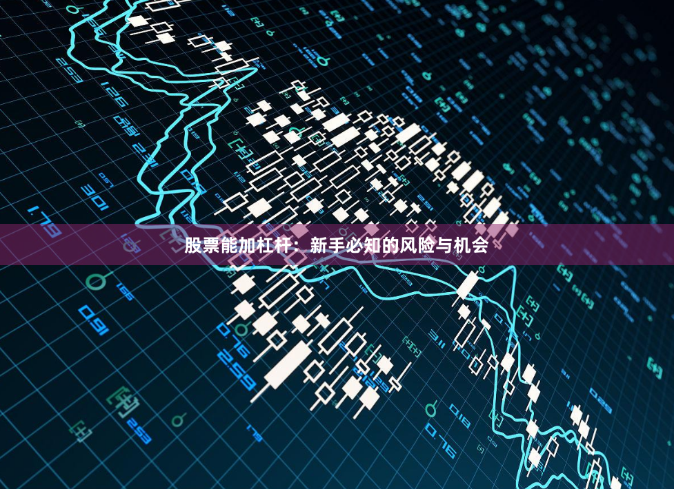 股票能加杠杆：新手必知的风险与机会